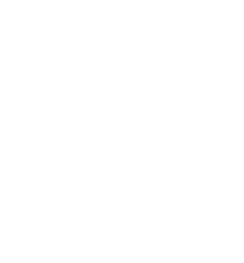 belgischevizslavereniging