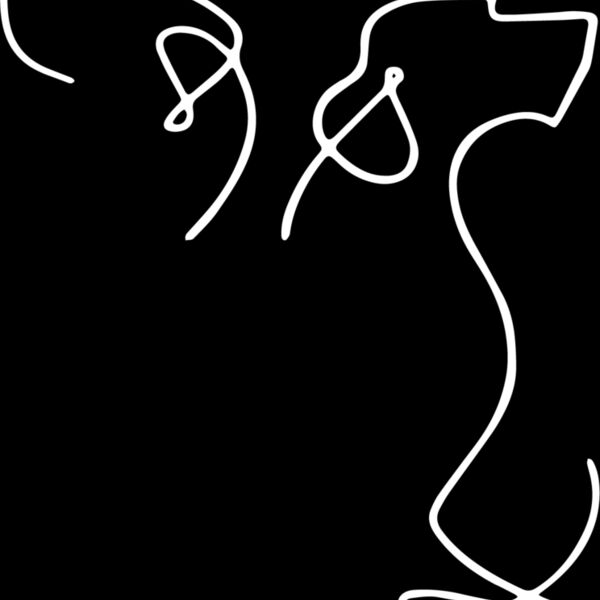 Vizlsa front wit  Thumbnail